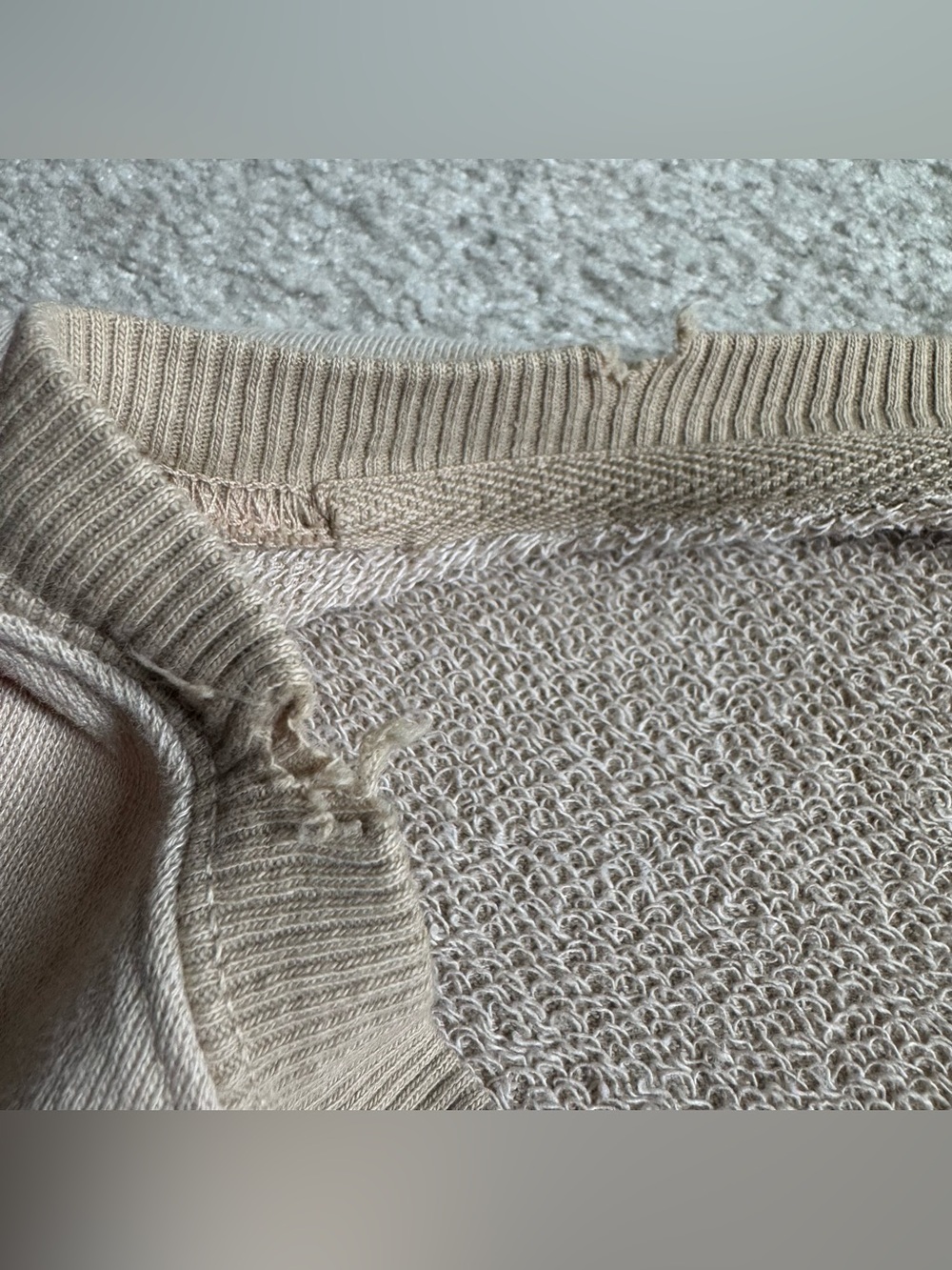 Free People We The Free Yellowstone Bison Camden Sweatshirt Beige Graphic - Picture 13 of 13
